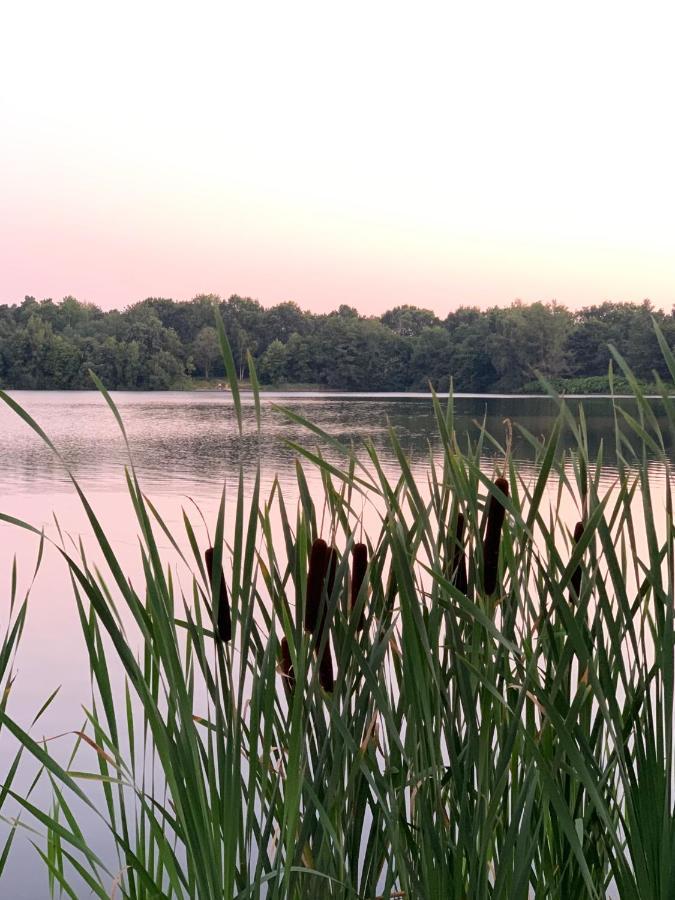 Ferienhaus Seestern Am Harkebruegger See Mit Sauna Und Kamin Barssel  Esterno foto